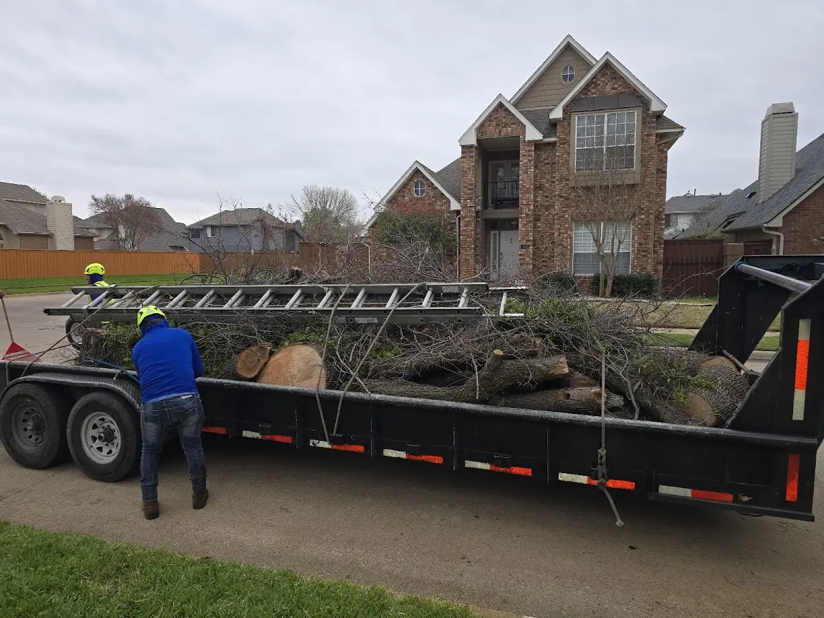 Expert Tree Removal with proper safety equipment in Shiocton